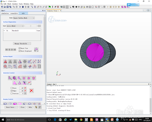 Star-CCM+提取流体域教程的图5
